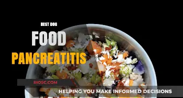 Top Dog Food Options for Managing Pancreatitis: A Comprehensive Guide