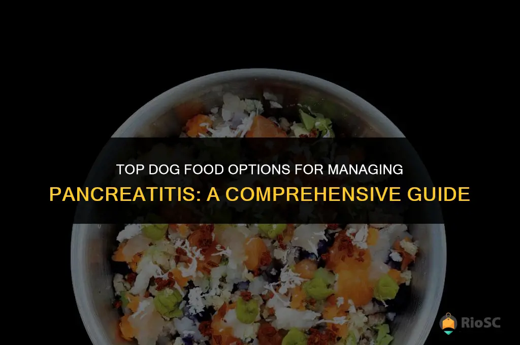 best dog food pancreatitis