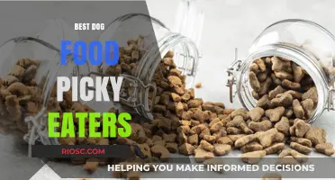 Top Dog Food Picks for Picky Eaters: Satisfy Even the Fussiest Canine Palates