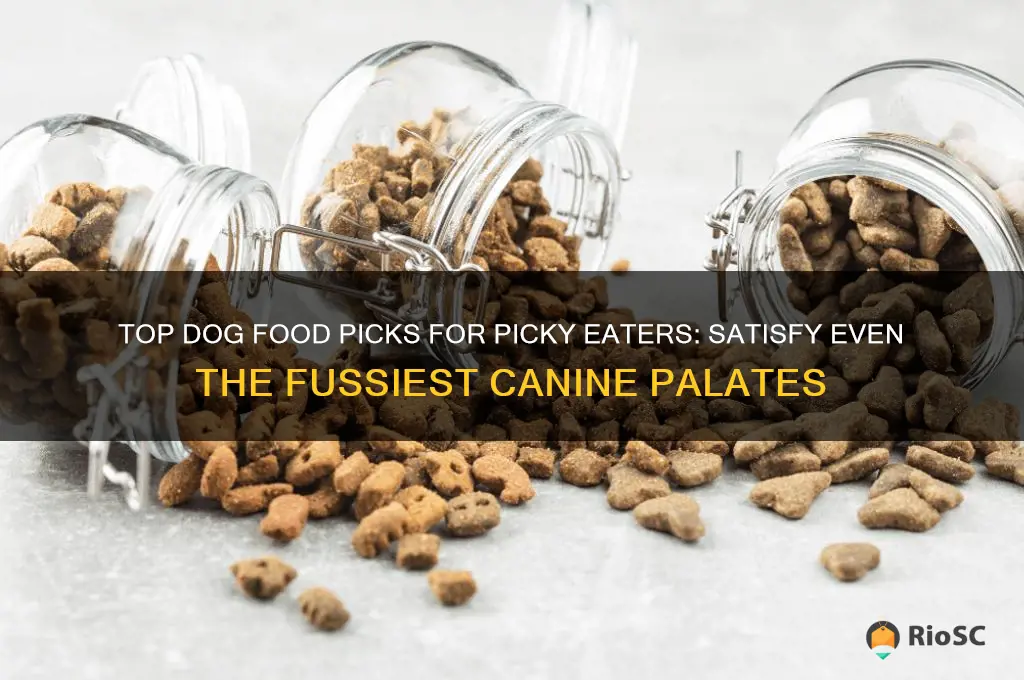 best dog food picky eaters