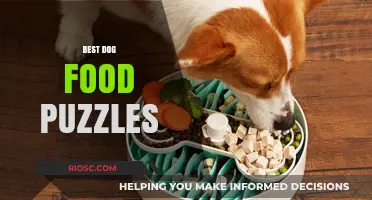 Engage Your Pup's Mind: Top Dog Food Puzzles for Mental Stimulation and Fun