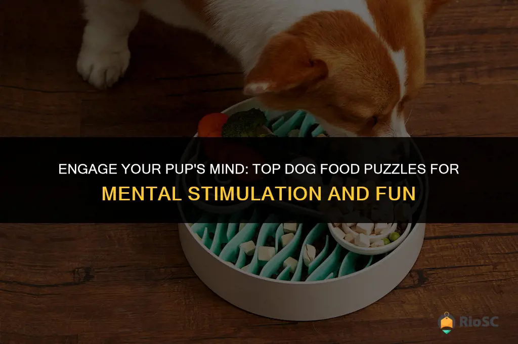 best dog food puzzles