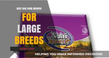 Nutritious and Delicious: Tailored Dog Food Recipes for Large Breeds
