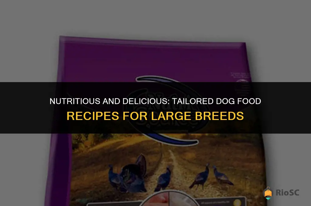 best dog food recipes for large breeds