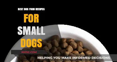 Nutritious and Delicious: Tailored Dog Food Recipes for Your Small Canine Companion