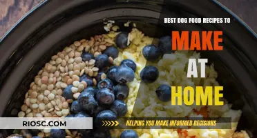 Homemade Hound Delights: Wholesome and Tasty Dog Food Recipes to Try Today
