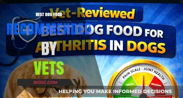 Top Vet-Recommended Dog Foods for Optimal Canine Health