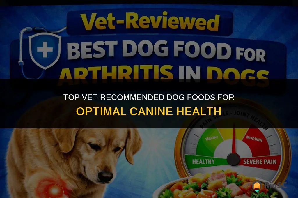 best dog food recommended by vets