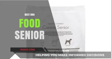 Nutritious Delights for Golden Years: The Ultimate Guide to Senior Dog Food