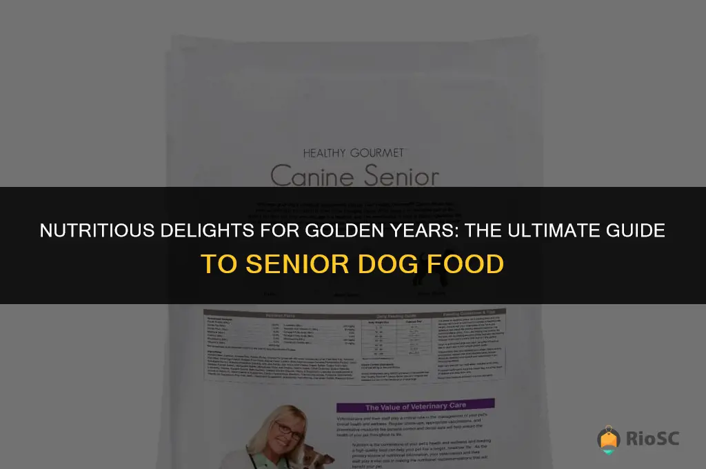 best dog food senior