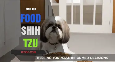 Top-Rated Dog Food Options for Shih Tzus: Nutrition, Taste, and Health Benefits
