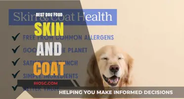 Nourish Your Dog's Skin and Coat: Top Dog Food Picks for a Healthy, Shiny Fur