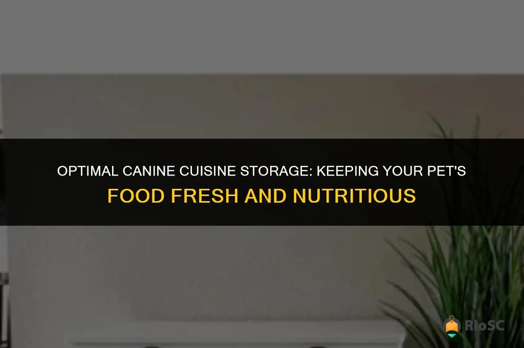 best dog food storage