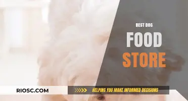 Top-Rated Dog Food Stores: Where to Find the Best Nutrition for Your Furry Friend