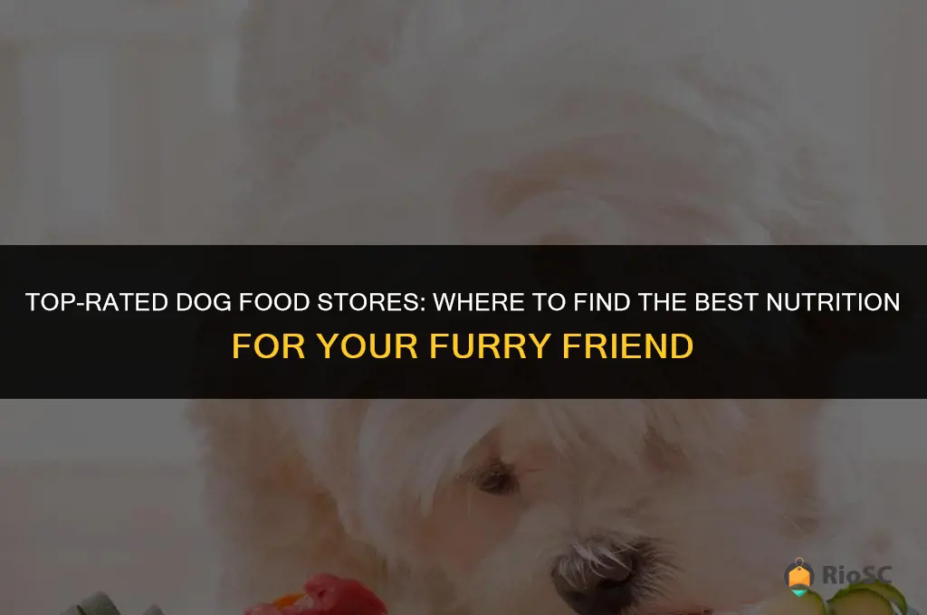 best dog food store