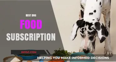 Top-Rated Dog Food Subscription Services for Your Furry Friend