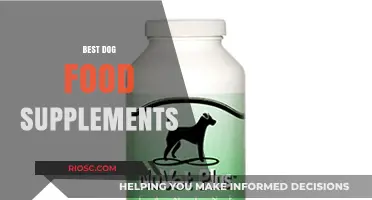 Enhancing Canine Health: A Guide to the Best Dog Food Supplements