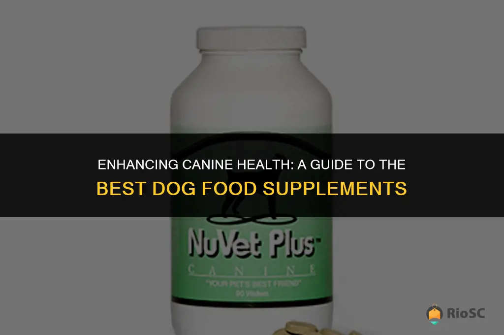 best dog food supplements