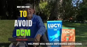 Top Picks for Heart-Healthy Dog Diets: Steering Clear of DCM Risks