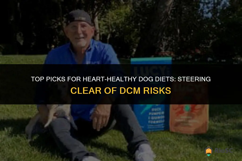 best dog food to avoid dcm