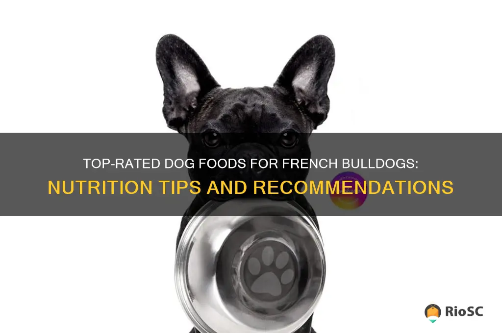 best dog food to feed a french bulldog