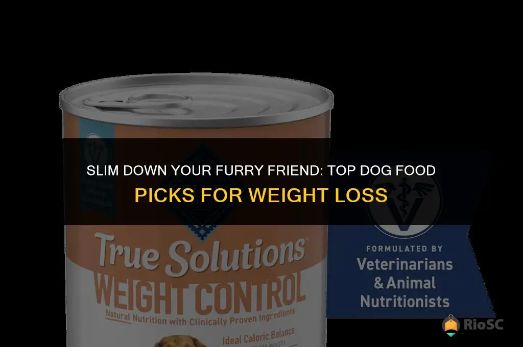 best dog food to help lose weight