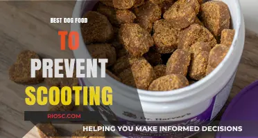Prevent Scooting in Dogs: Top Dog Food Recommendations for a Healthy Digestive System