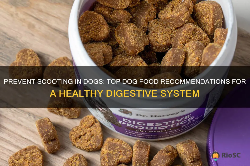 best dog food to prevent scooting
