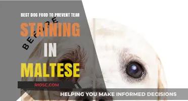 Top Dog Food Choices to Combat Tear Staining in Maltese: A Comprehensive Guide