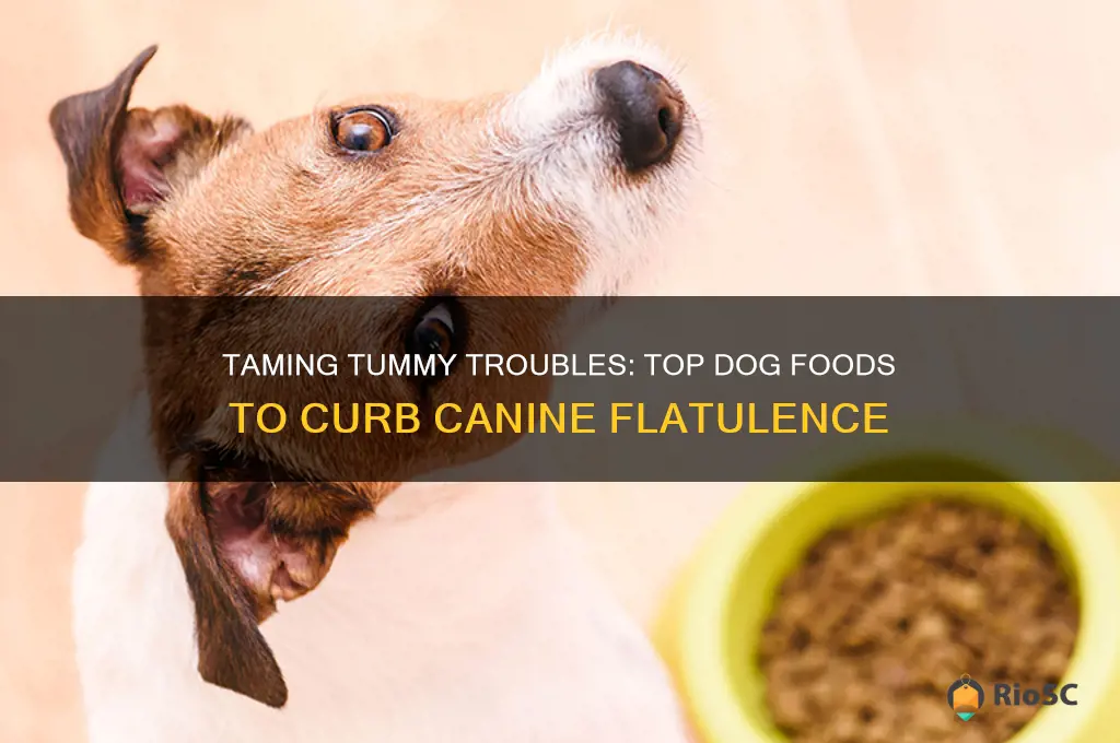 best dog food to reduce flatulence