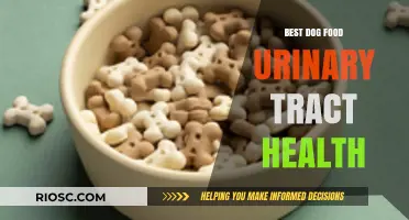 Top Dog Foods for Urinary Tract Health: Expert Picks for a Happy, Healthy Pup