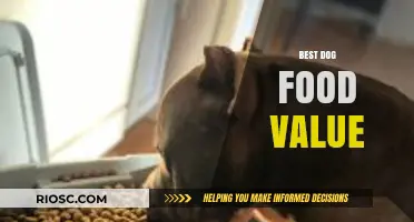 Top-Rated Dog Food: Quality Meets Affordability