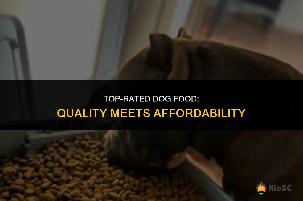 best dog food value
