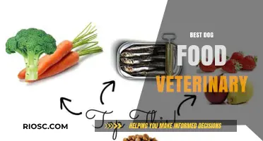 Expert Picks: The Top Veterinary-Recommended Dog Foods for Optimal Health