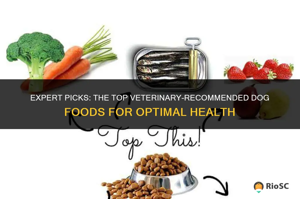 best dog food veterinary