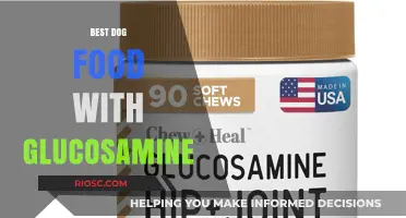 Top Glucosamine-Rich Dog Foods for Joint Health and Mobility