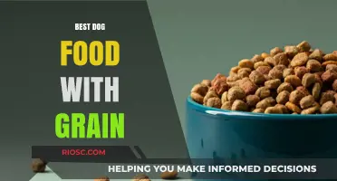 Top Grain-Inclusive Dog Food Options for Optimal Canine Health