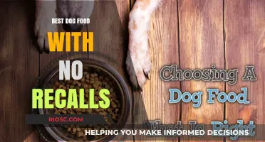 Top-Rated Dog Foods with a Clean Recall Record: Ensuring Your Pet's Health and Safety