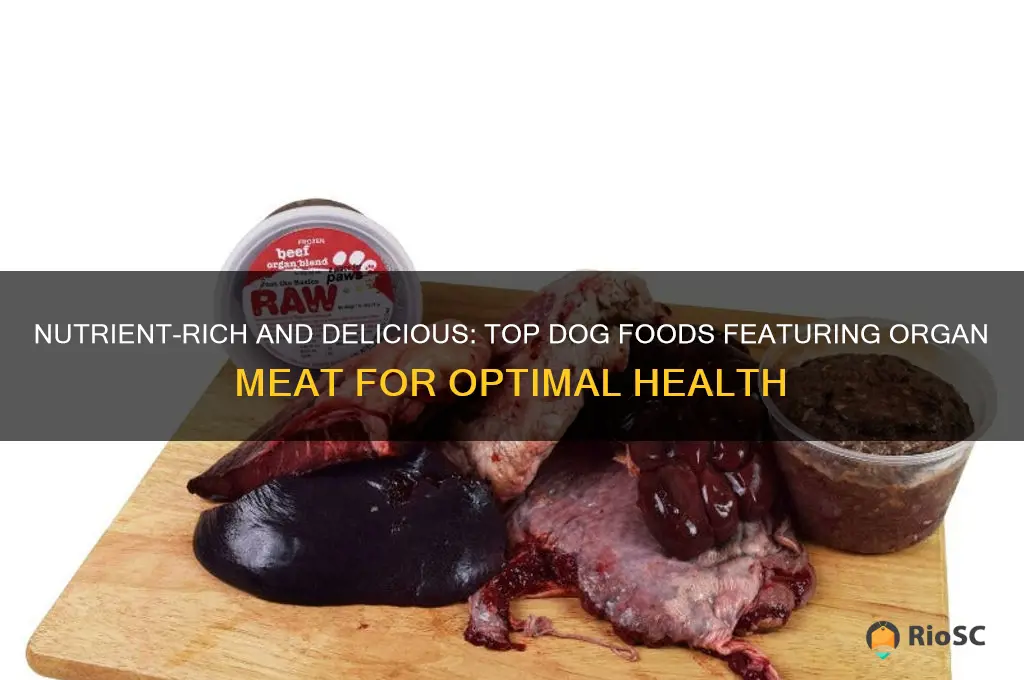 best dog food with organ meat