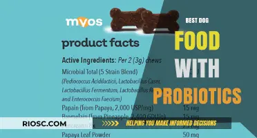Nourishing Your Canine Companion: The Top Probiotic-Rich Dog Foods for Optimal Health