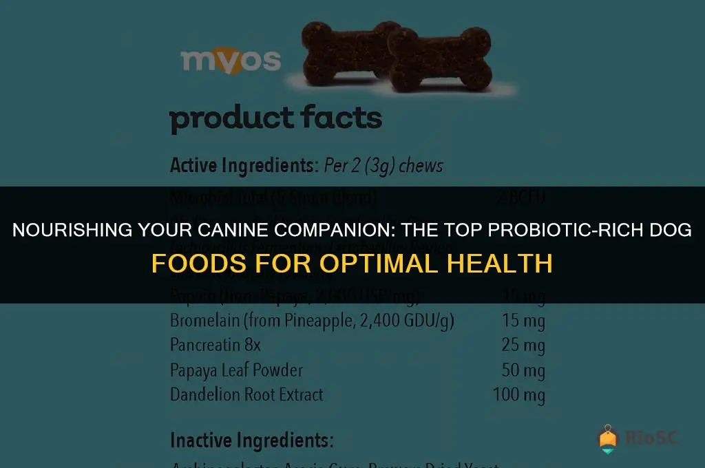 best dog food with probiotics