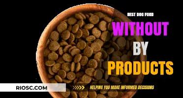 Top-Rated Dog Foods Free from By-Products: Healthy Choices for Your Canine Companion