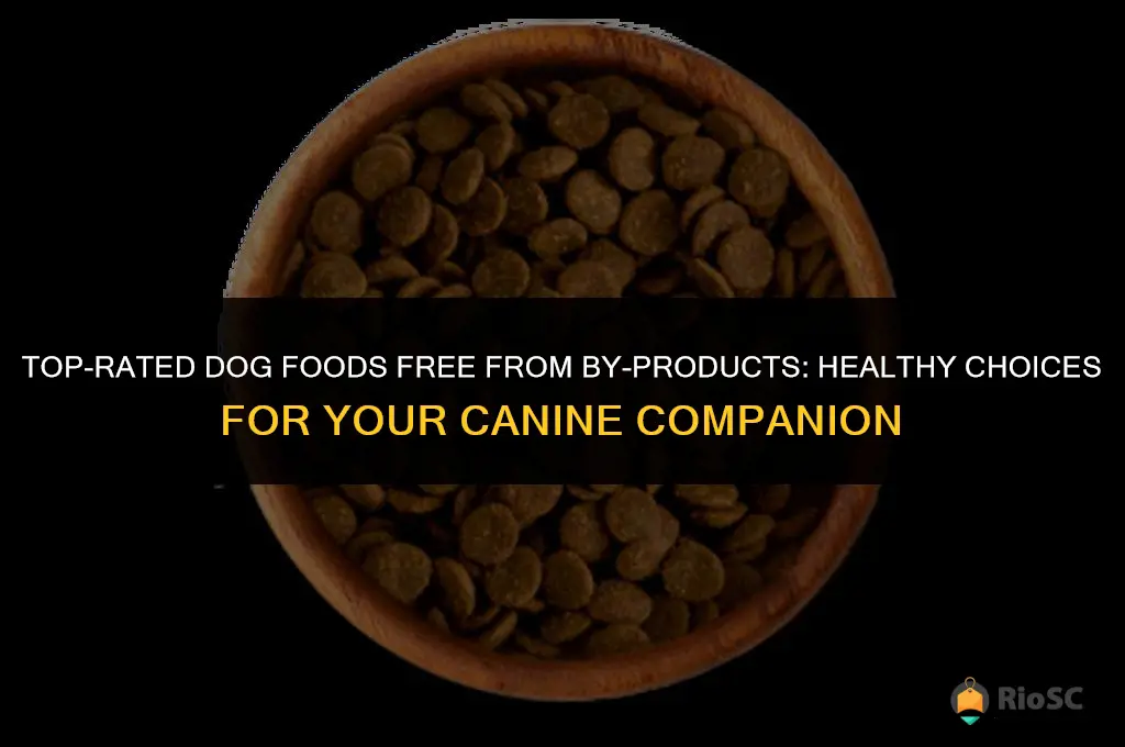 best dog food without by products