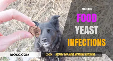 Top Dog Food Choices to Combat Yeast Infections: A Comprehensive Guide