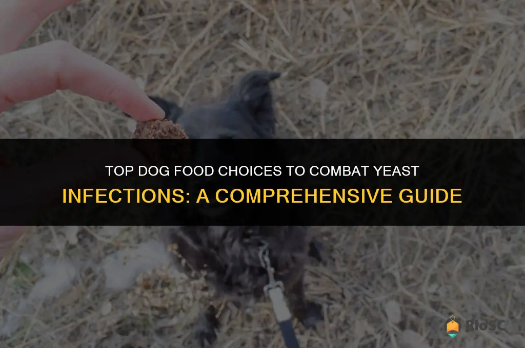 best dog food yeast infections