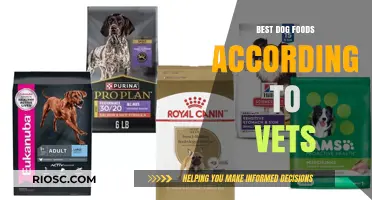 Vet-Approved Nutrition: Unveiling the Top Dog Food Choices for Optimal Canine Health