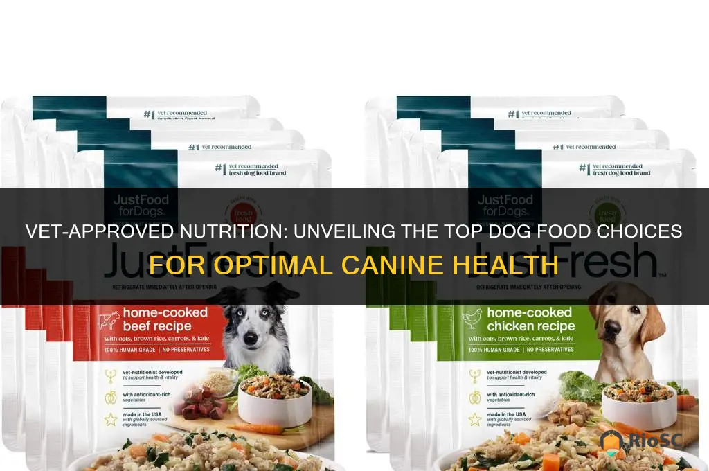 best dog foods according to vets