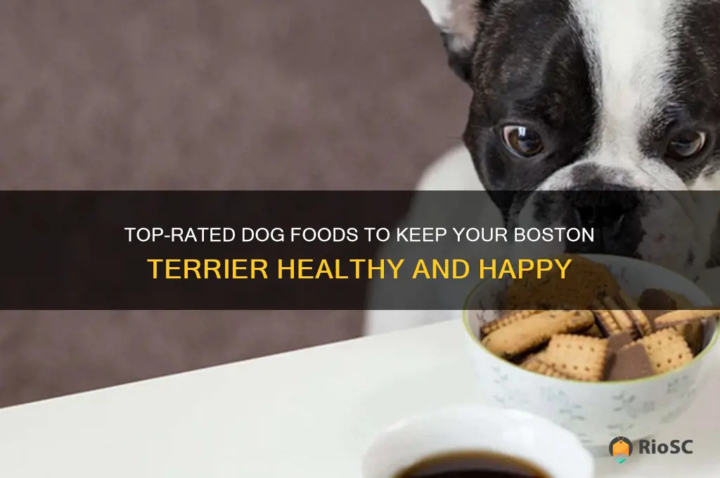 best dog foods for boston terriers