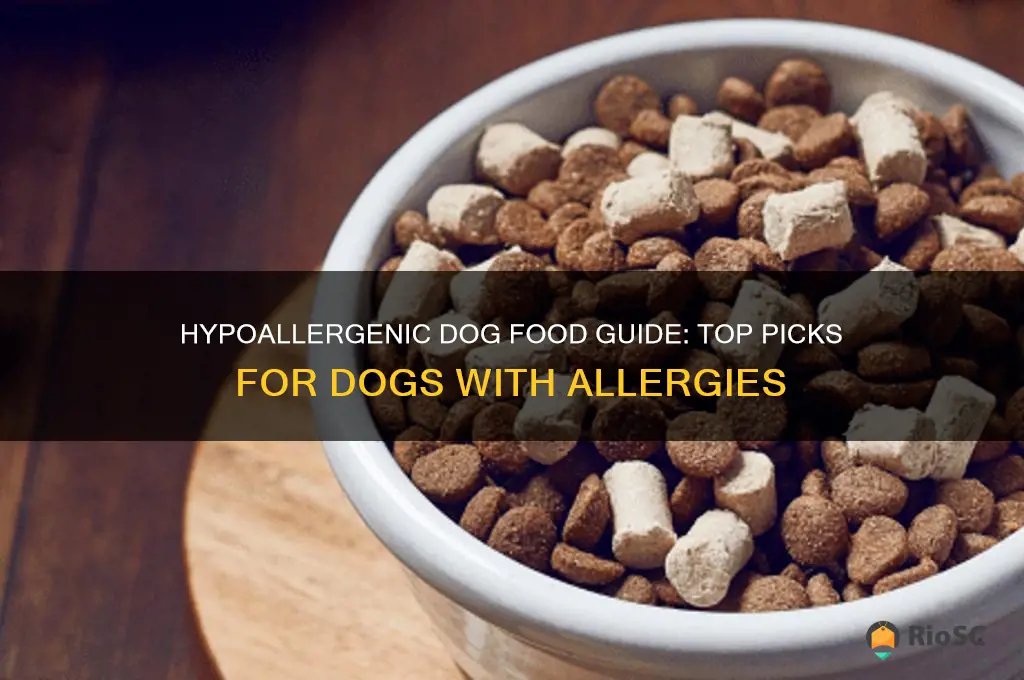 best dog foods for dogs with allergies