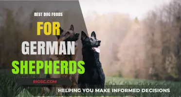 Top-Rated Dog Foods to Keep Your German Shepherd Healthy and Energetic